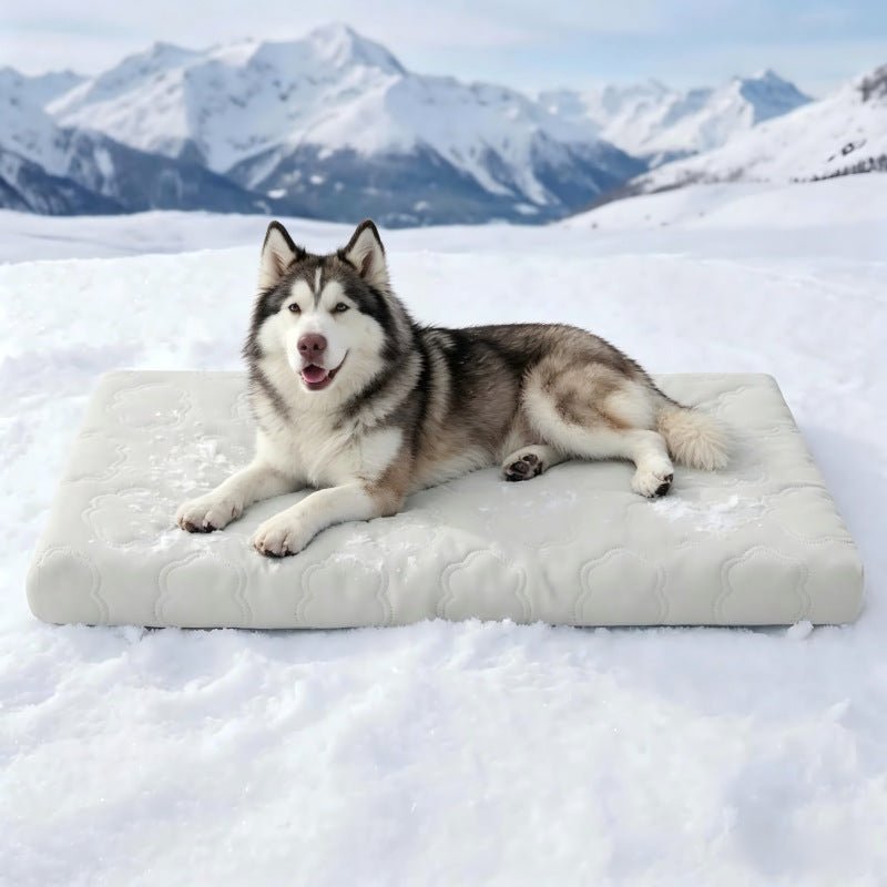 Alfombrilla Refrescante para Perros con Gel – Impermeable, Lavable, 5 Tallas