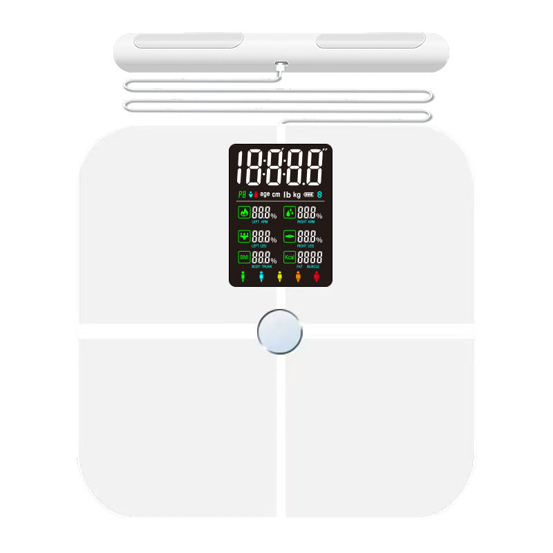Báscula Bluetooth de Grasa Corporal con 8 Electrodos — Body Fat Scale
