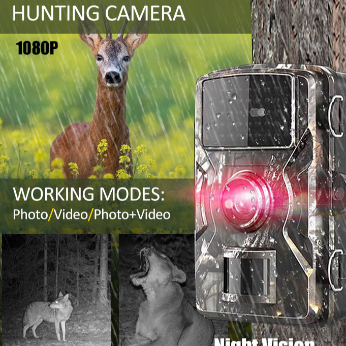 Cámara Trampa HD para Vida Silvestre con Visión Nocturna – 12MP, IP66, 6 Meses de Batería