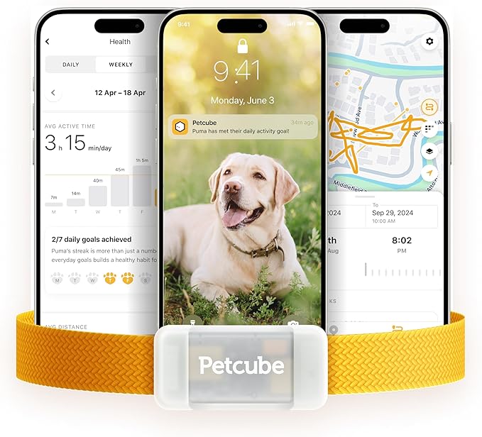 Petcube Rastreador GPS para perros