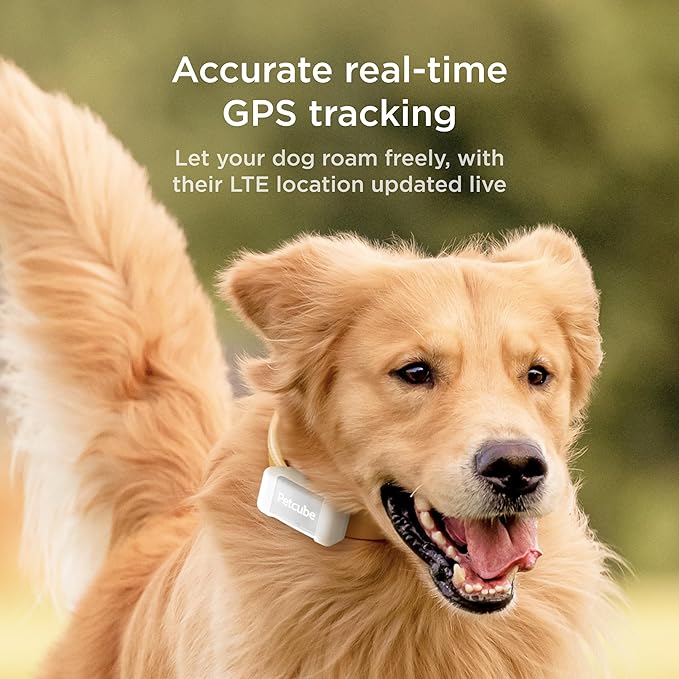 Petcube Rastreador GPS para perros