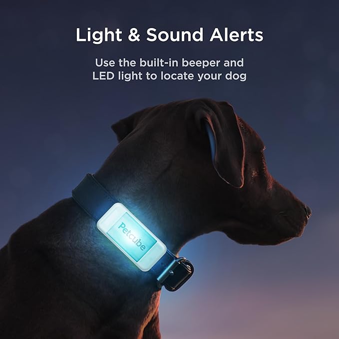 Petcube Rastreador GPS para perros