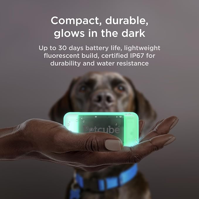 Petcube Rastreador GPS para perros