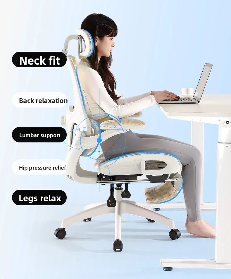 Ergonomic Mesh Office Chair | Reclining | Lumbar Support