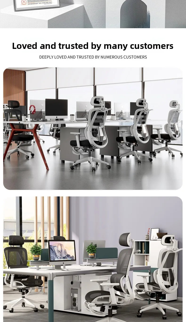 Ergonomic Office Chair | High Back & Armrests | Study
