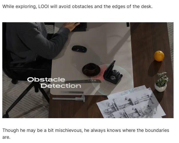 LOOI Robot — AI Mini Robot with Voice & ChatGPT | Smart Learning Companion