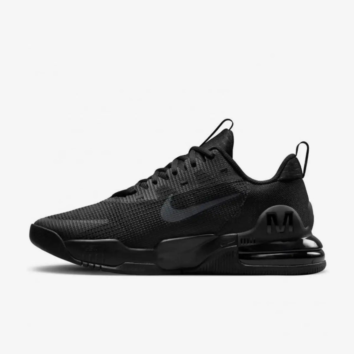 Nike Air Max Alpha DM0829 | Low-Top Trainers | Men's Shoes