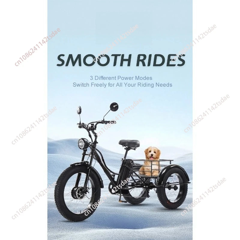 Triciclo Eléctrico 750W | 3 Ruedas | 48V 15Ah Extraíble | 2 Asientos | Todo Terreno | Adultos y Mayores | E-Tricycle