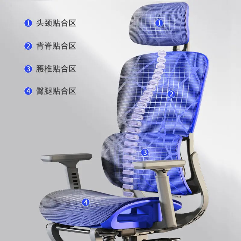 Ergonomic Office Chair | High Back & Armrests | Study