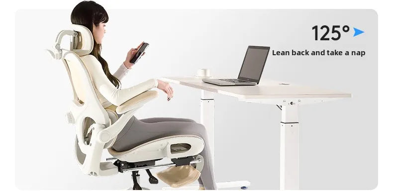 Ergonomic Mesh Office Chair | Reclining | Lumbar Support