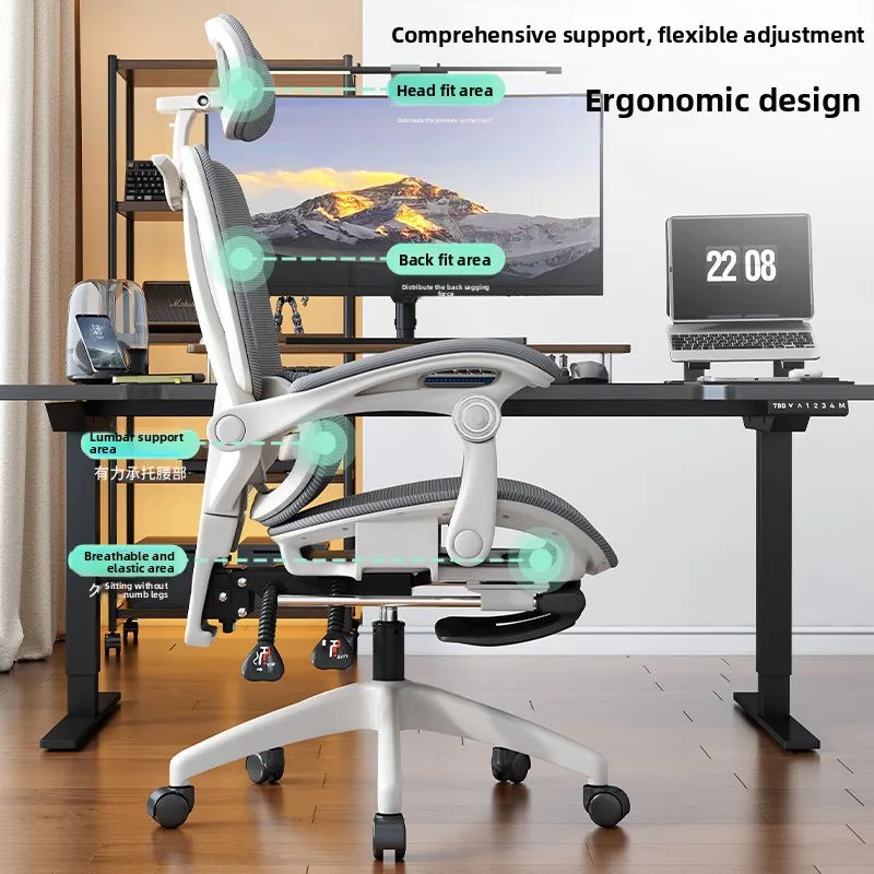 Ergonomic Office Chair | Reclining & Footrest | Lumbar