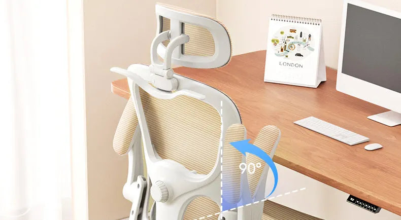 Ergonomic Mesh Office Chair | Reclining | Lumbar Support