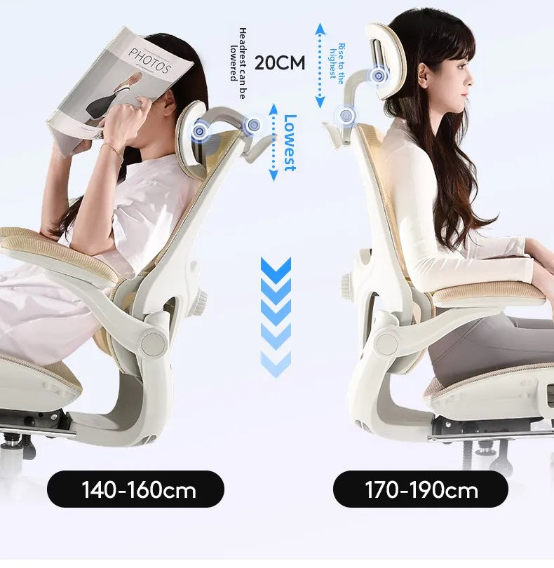 Ergonomic Mesh Office Chair | Reclining | Lumbar Support