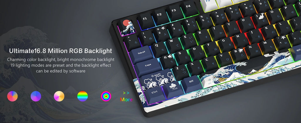 Teclado Mecánico Gaming Womier 75% | OLED | Gasket | Hot-Swap | PBT Pudding RGB | PC/Mac | Womier 75% Mechanical Gaming Keyboard OLED Gasket Hot-Swap PBT Pudding RGB