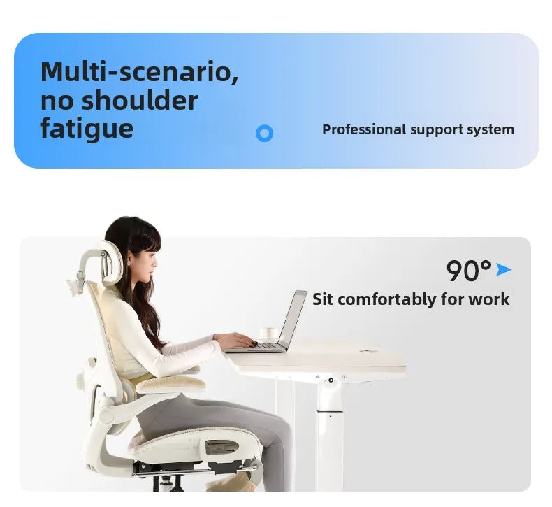 Ergonomic Mesh Office Chair | Reclining | Lumbar Support