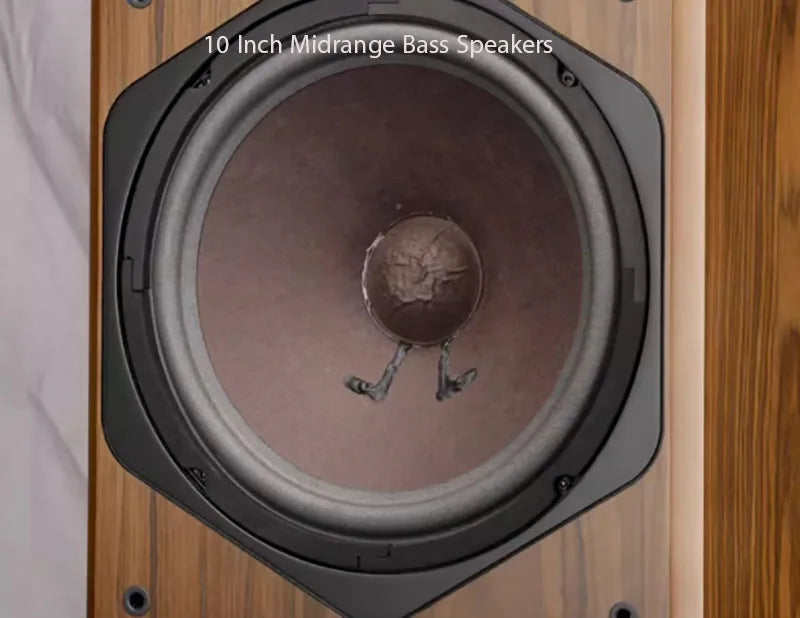 AOSIBAO 10" HIFI Bookshelf Speaker | 3-Way 150W | Wood Cabinet | Home Theater & KTV