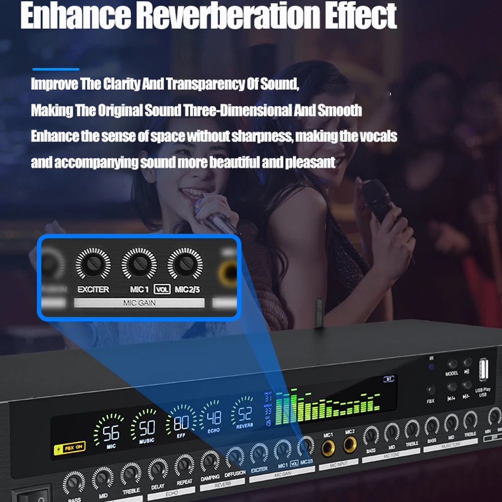 PaulKitson LD300 DSP Karaoke Effects Processor | 15W | Reverb | Bluetooth | Speaker Management