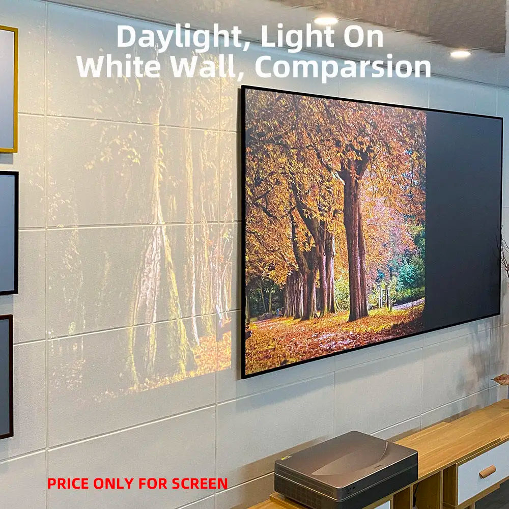 Yinzam Fresnel ALR Screen | 80–120 Inch 16:9 | UST or Long Throw