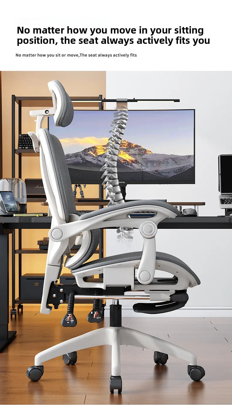 Ergonomic Office Chair | Reclining & Footrest | Lumbar