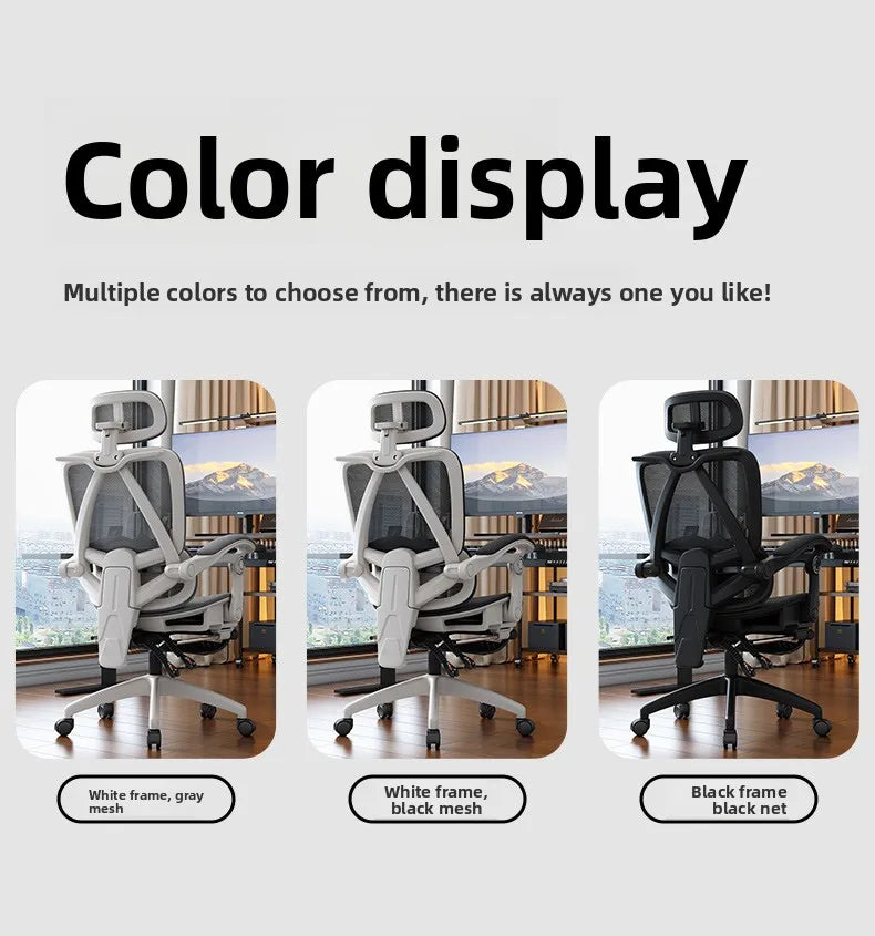 Ergonomic Office Chair | Reclining & Footrest | Lumbar
