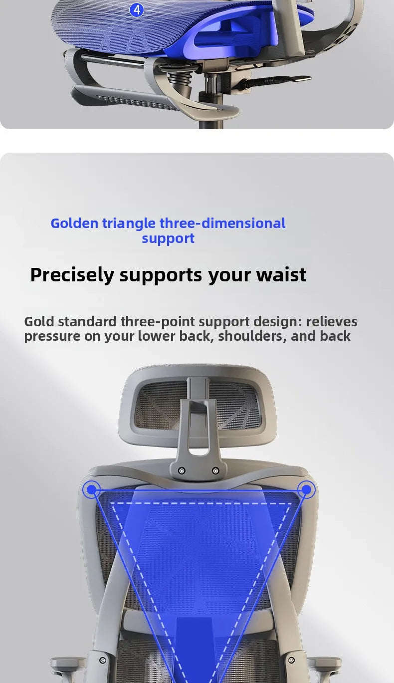 Ergonomic Office Chair | High Back & Armrests | Study