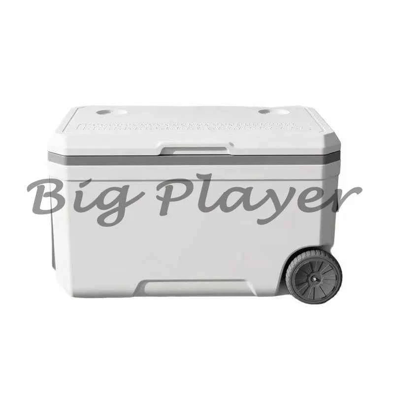 Insulated Cooler Box | Portable Outdoor Food Storage / Nevera portátil aislada
