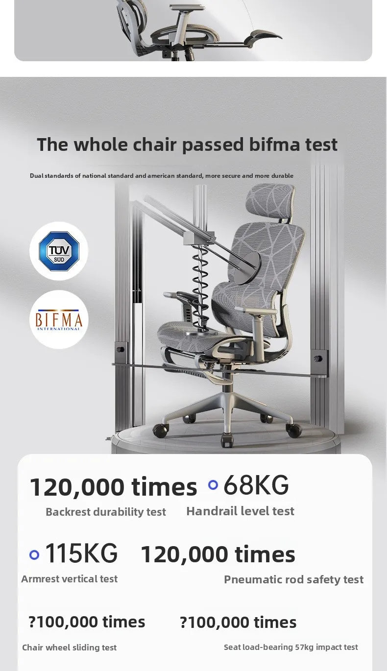 Ergonomic Office Chair | High Back & Armrests | Study