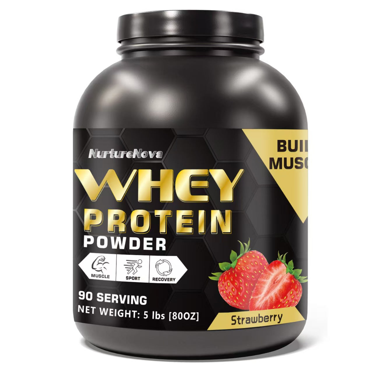 Proteína en Polvo Fitness Unisex | 4 Sabores | Fitness Whey Protein Powder