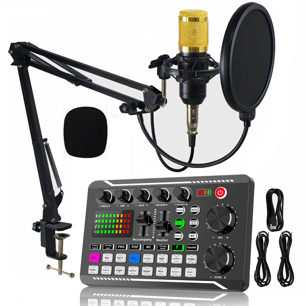 Professional Microphone & Sound Card Combo | Streaming, Karaoke & Recording